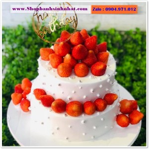 Bánh Sinh Nhật Trái Cây Tươi - U27